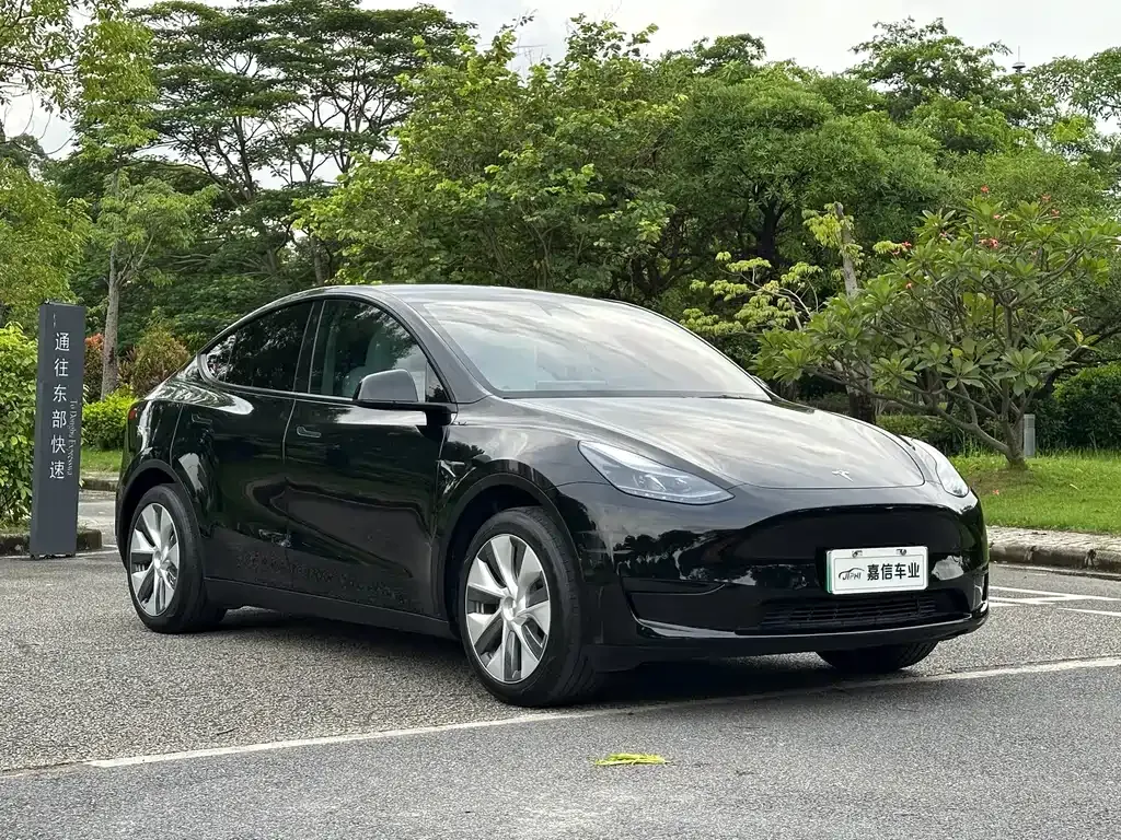 Tesla Model Y — фото 10
