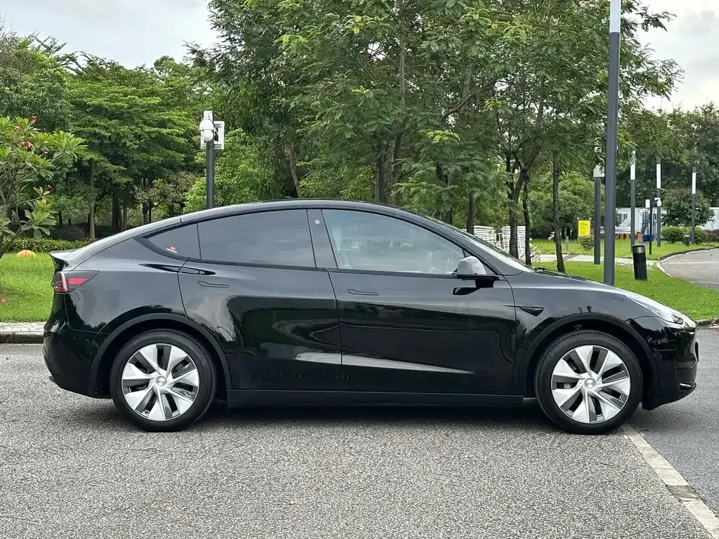 Tesla Model Y — фото 9