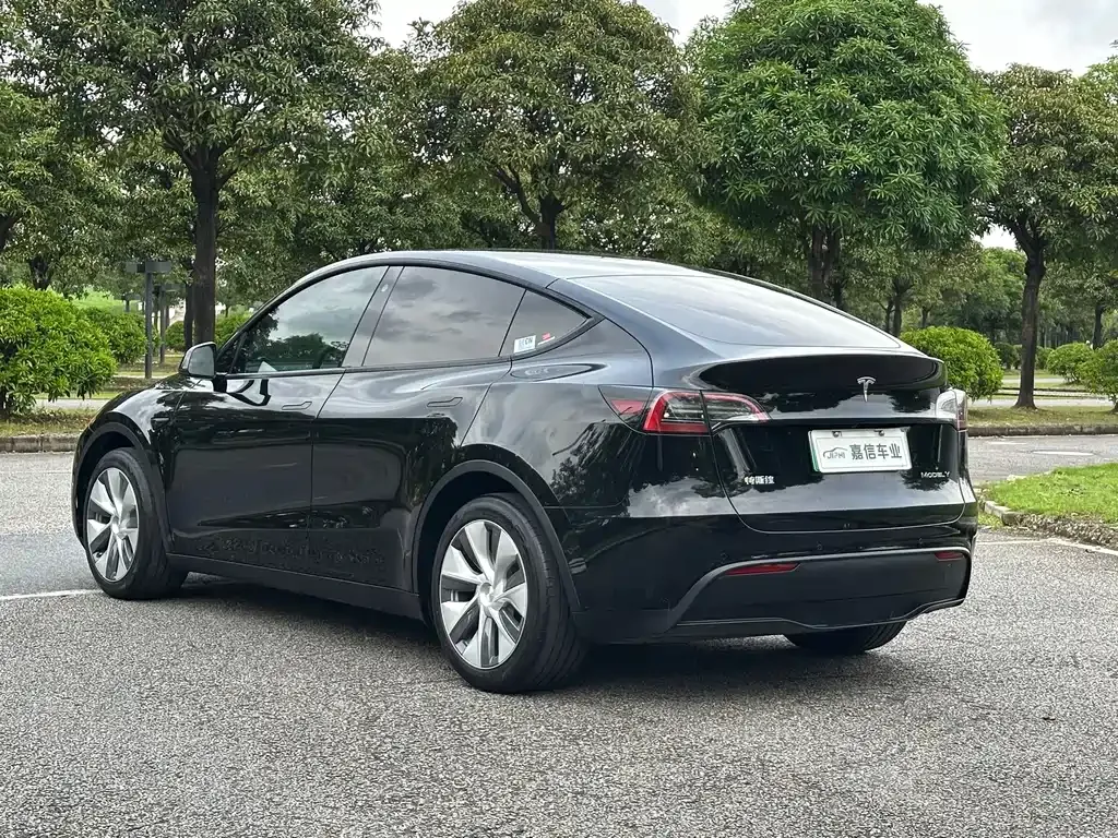 Tesla Model Y — фото 6