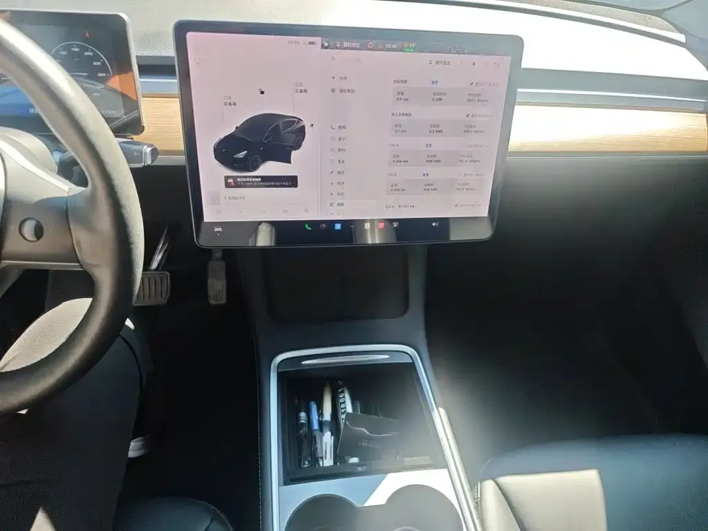 Tesla Model Y — фото 8