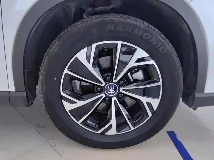 BYD Pro New Energy — фото 5