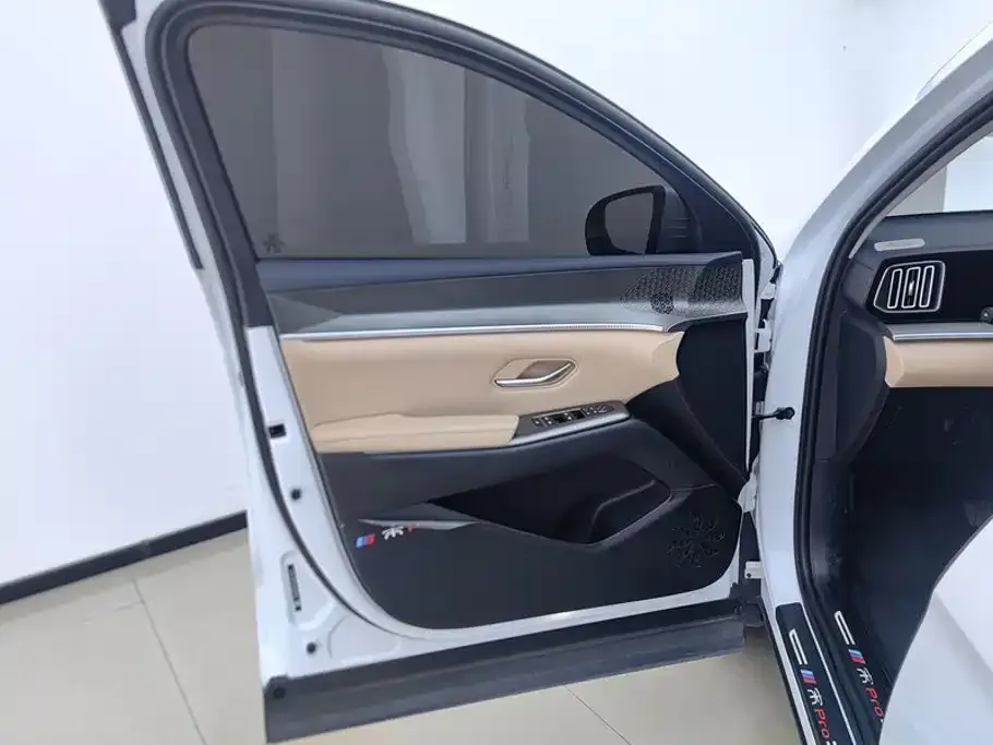 BYD Pro New Energy — фото 10