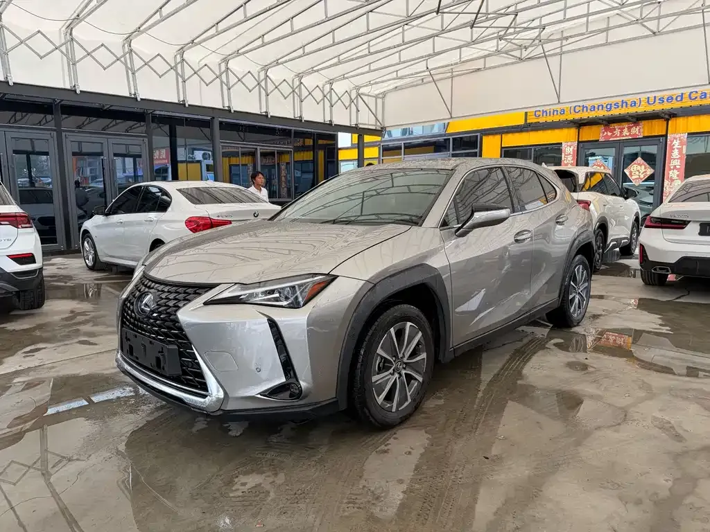 Lexus UX New Energy — фото 1