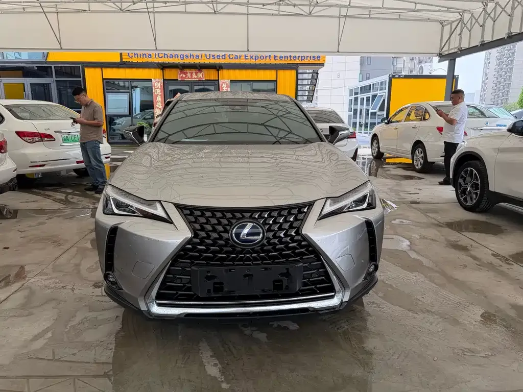 Lexus UX New Energy — фото 7