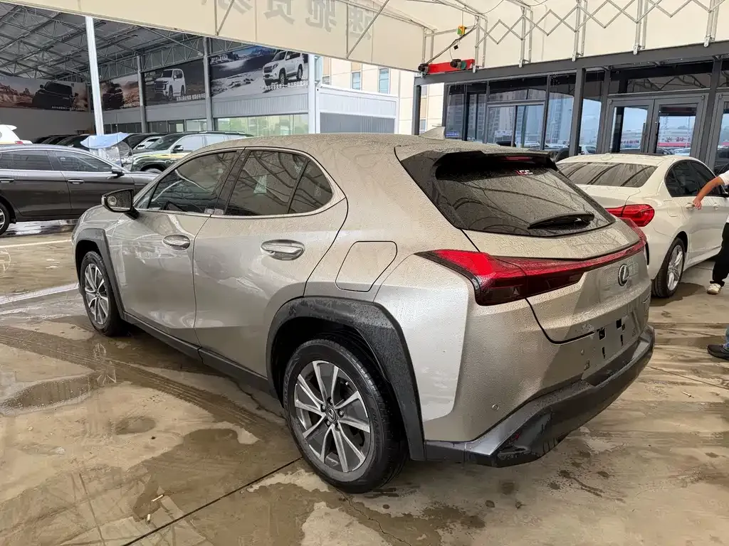 Lexus UX New Energy — фото 10