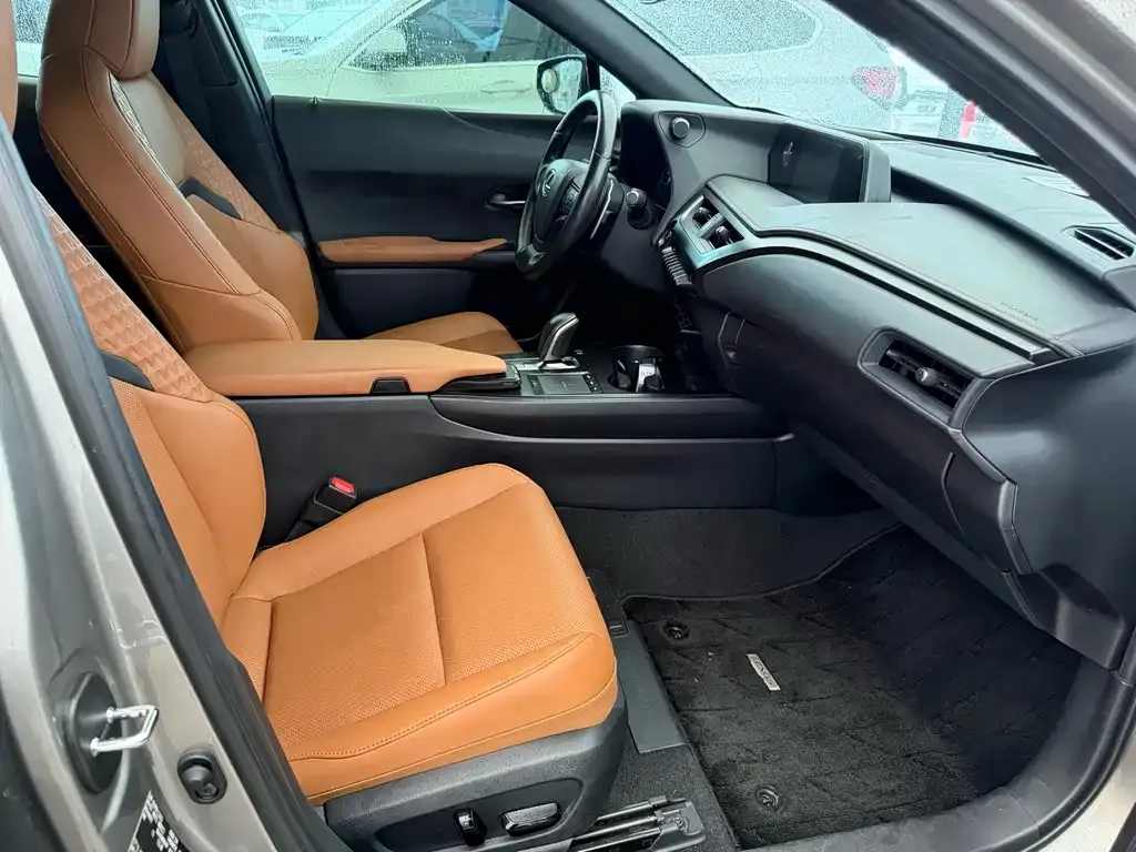 Lexus UX New Energy — фото 4