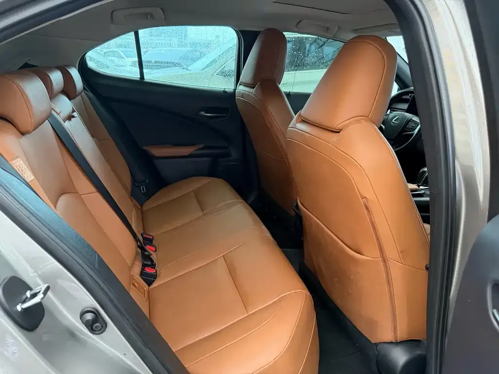 Lexus UX New Energy — фото 8