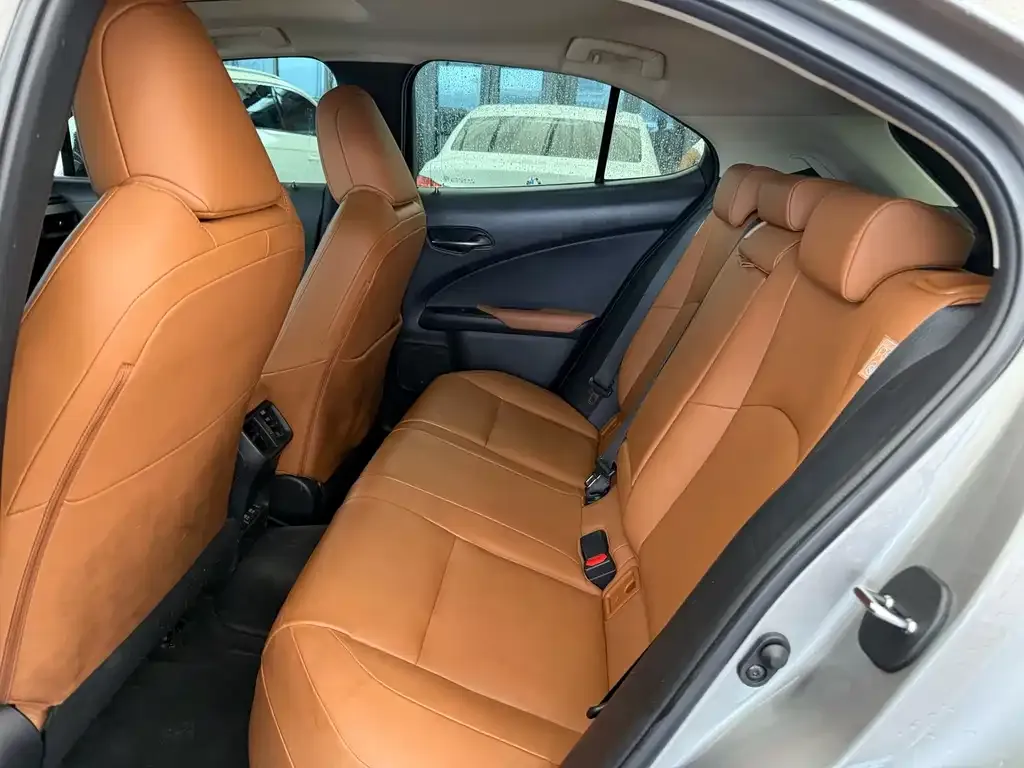 Lexus UX New Energy — фото 5