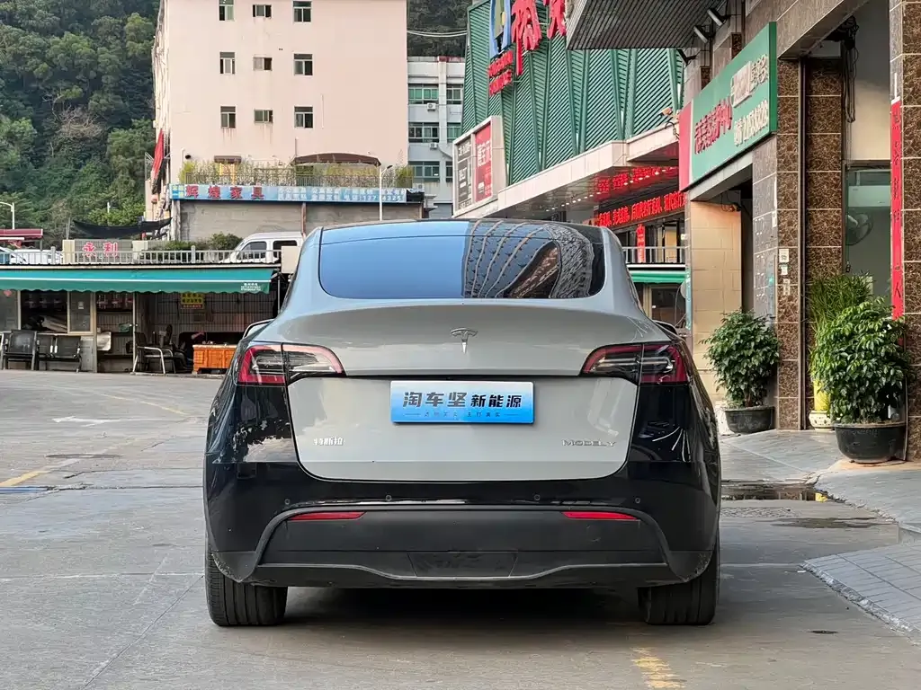 Tesla Model Y — фото 4