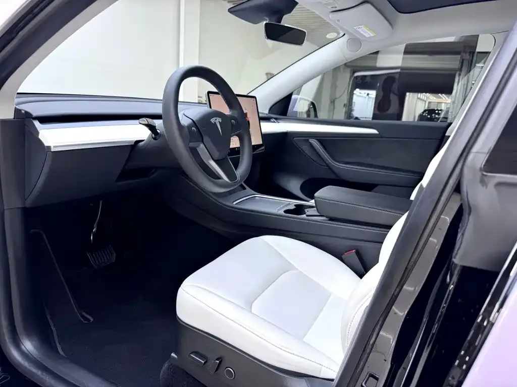 Tesla Model Y — фото 9