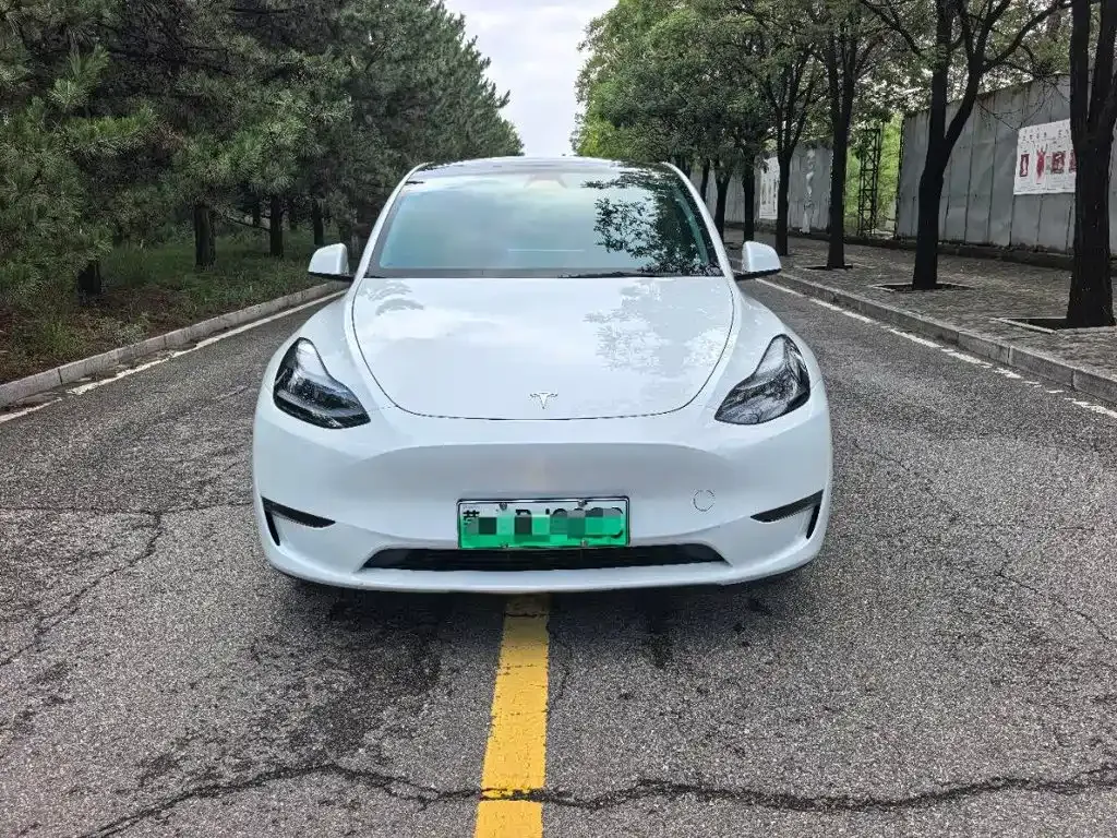 Tesla Model Y — фото 1