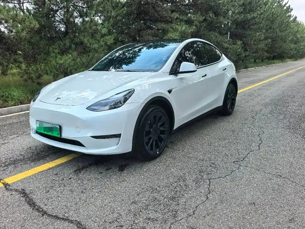 Tesla Model Y — фото 6