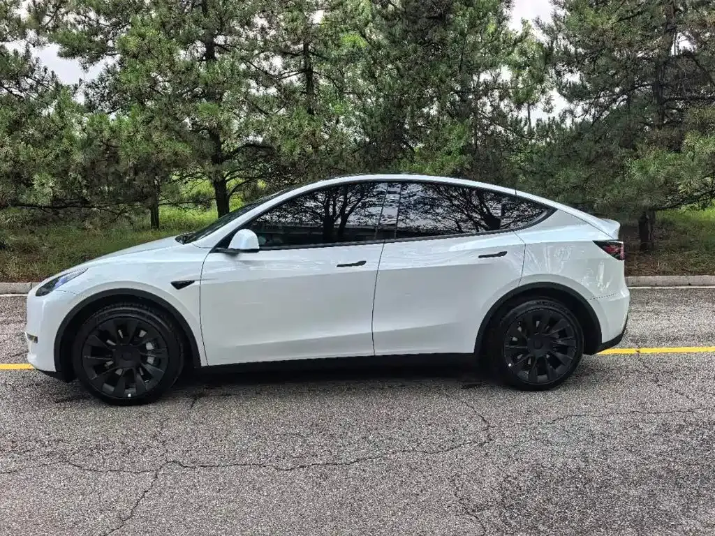 Tesla Model Y — фото 8