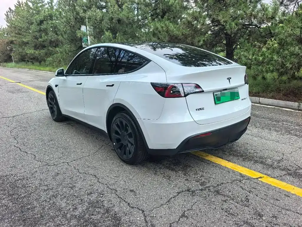 Tesla Model Y — фото 5