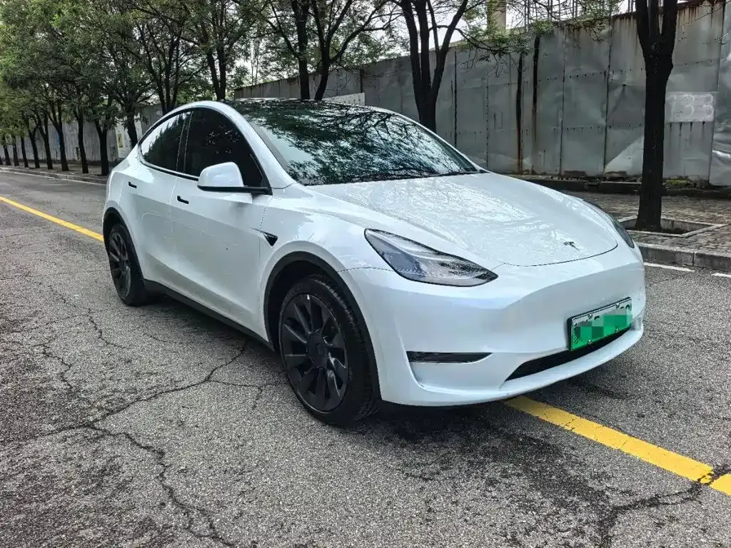 Tesla Model Y — фото 9