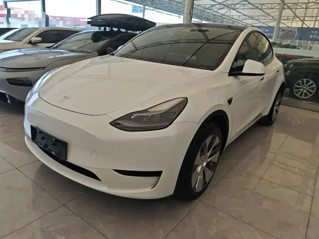 Tesla Model Y — фото 5