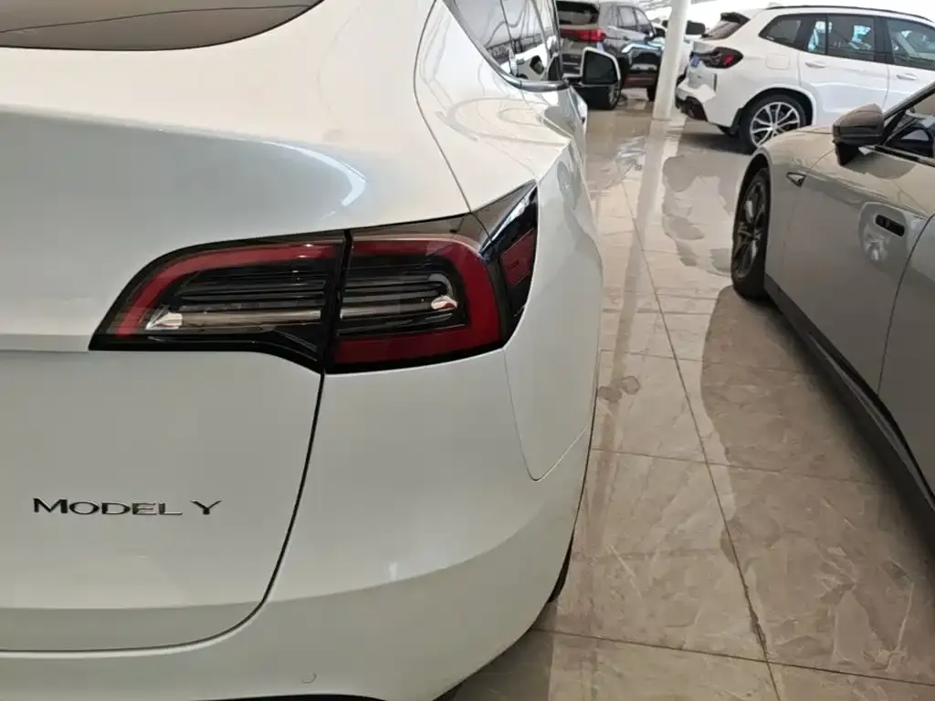 Tesla Model Y — фото 8