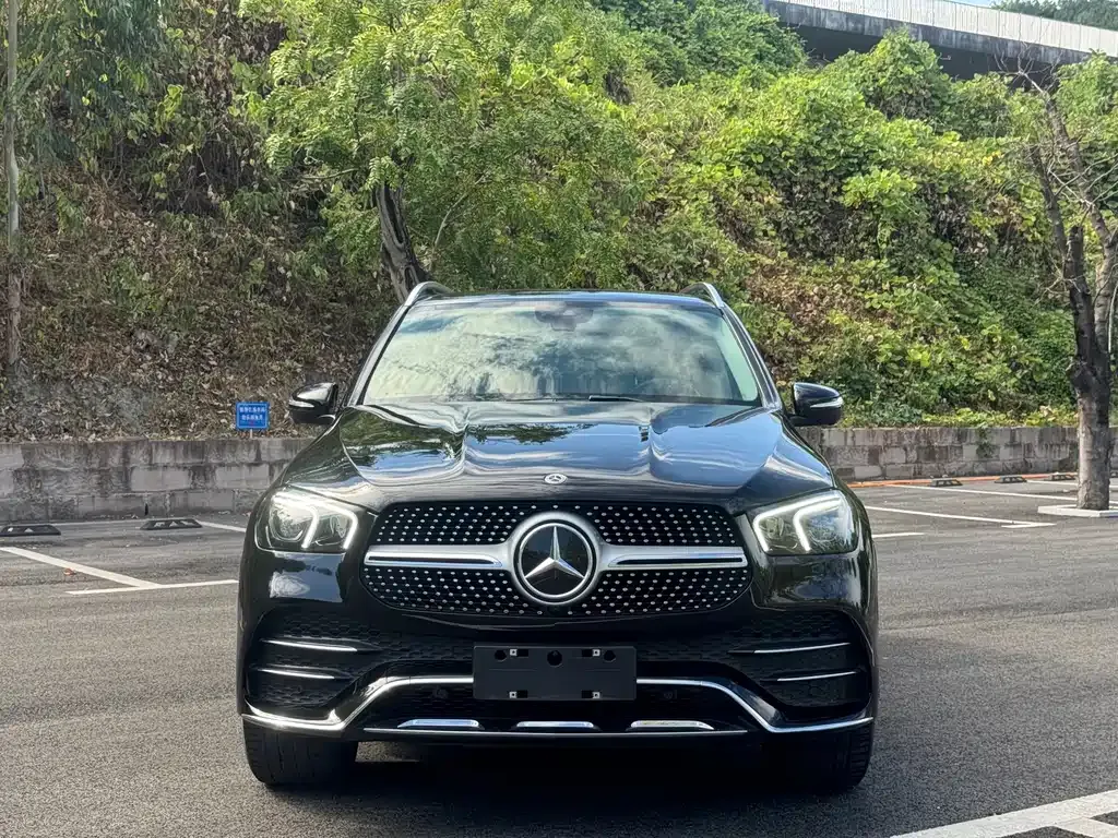 Mercedes-Benz 奔驰GLE(进口) — фото 10