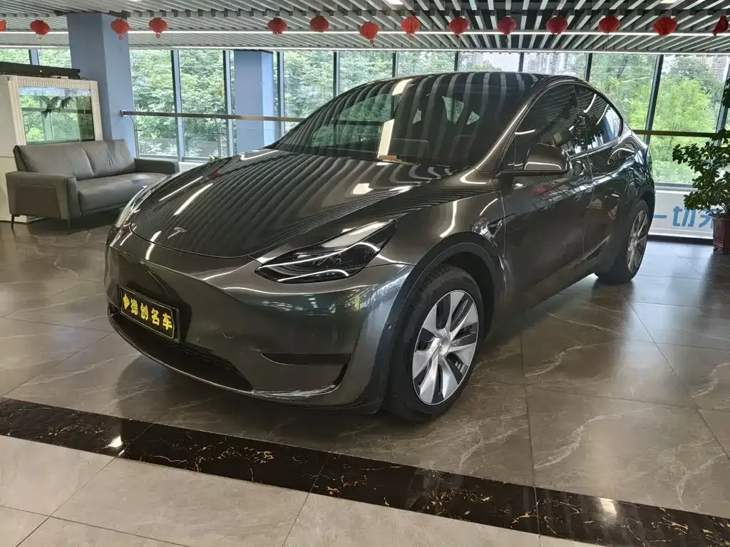 Tesla Model Y — фото 10