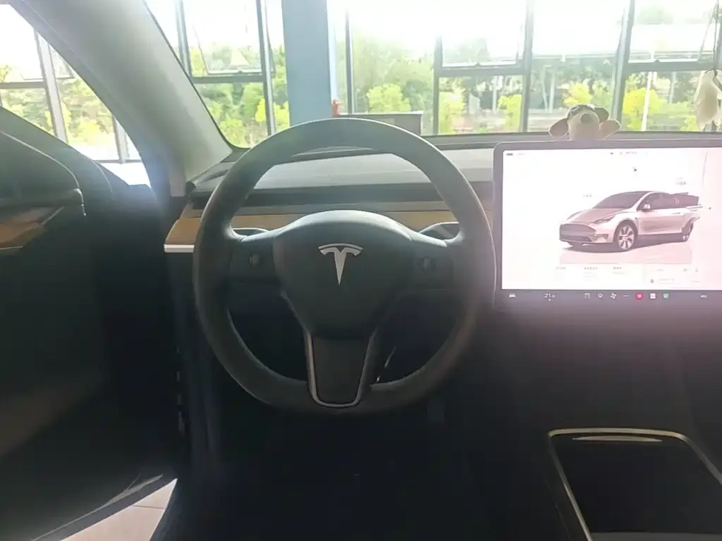 Tesla Model Y — фото 5