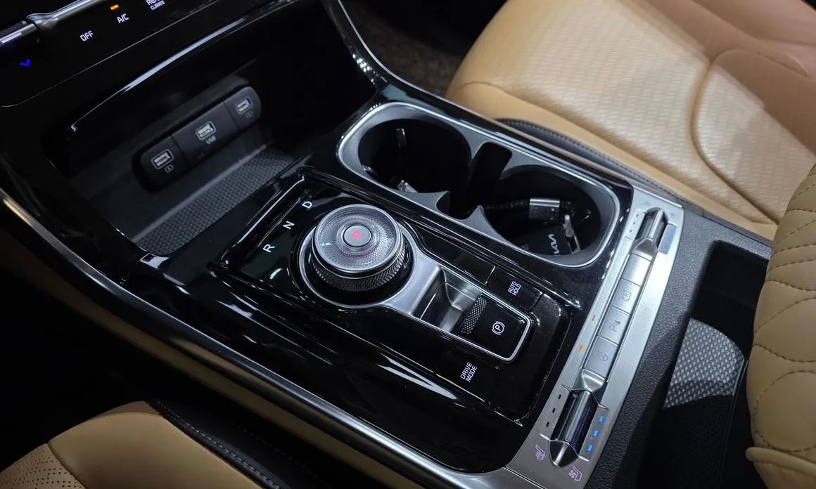 Kia Carnival — фото 10