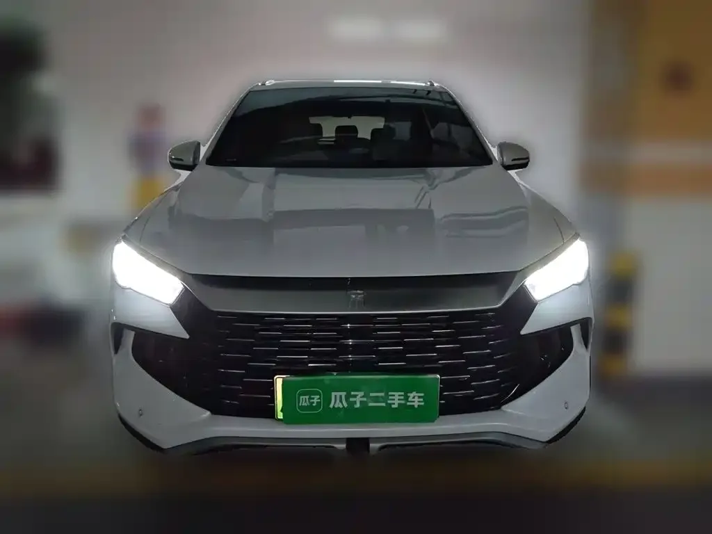 BYD Pro New Energy — фото 6