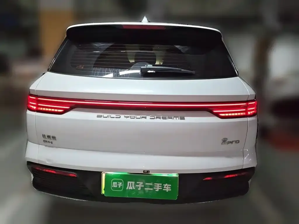 BYD Pro New Energy — фото 9