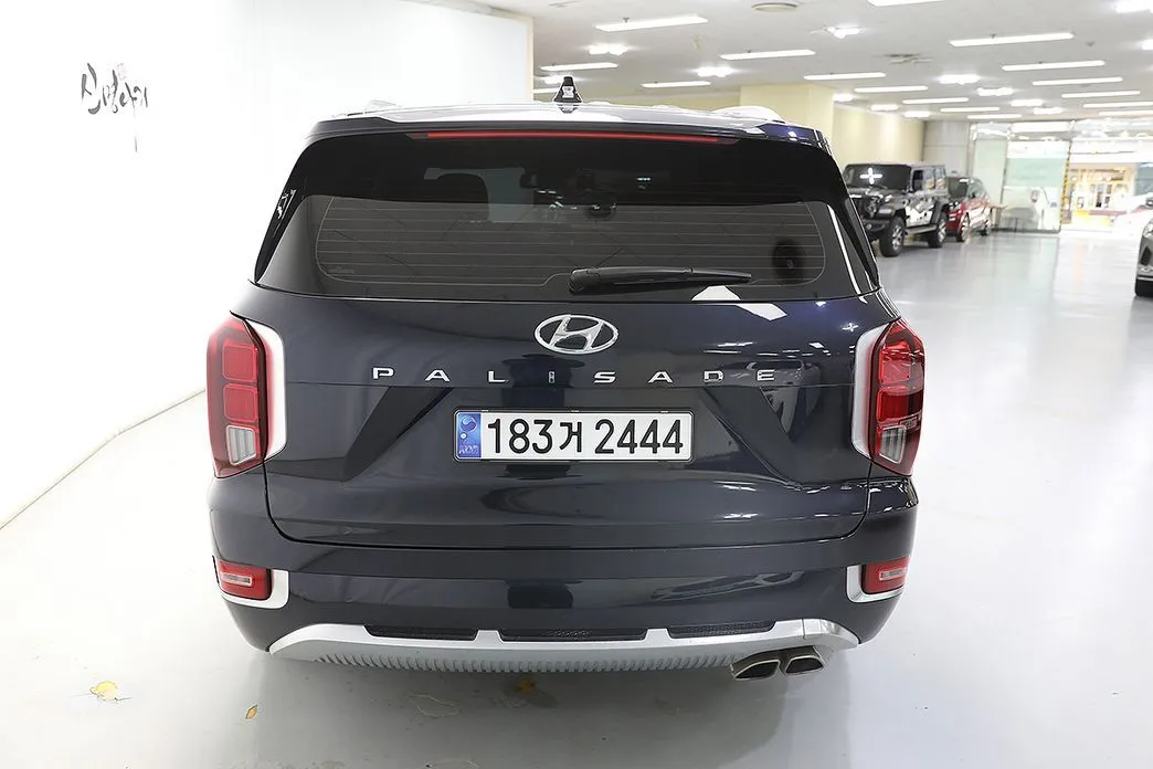 Hyundai Palisade — фото 8