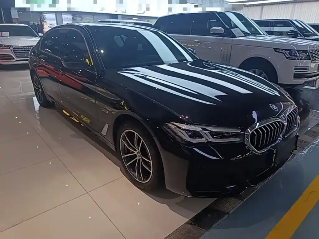 BMW 5 Series New Energy — фото 10