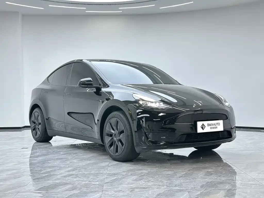 Tesla Model Y — фото 8