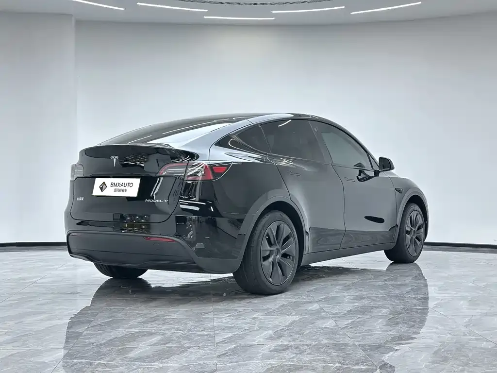 Tesla Model Y — фото 9