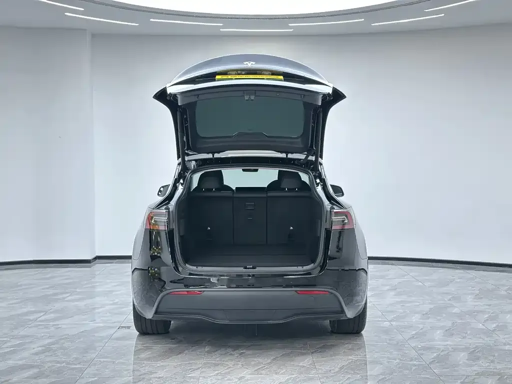 Tesla Model Y — фото 10