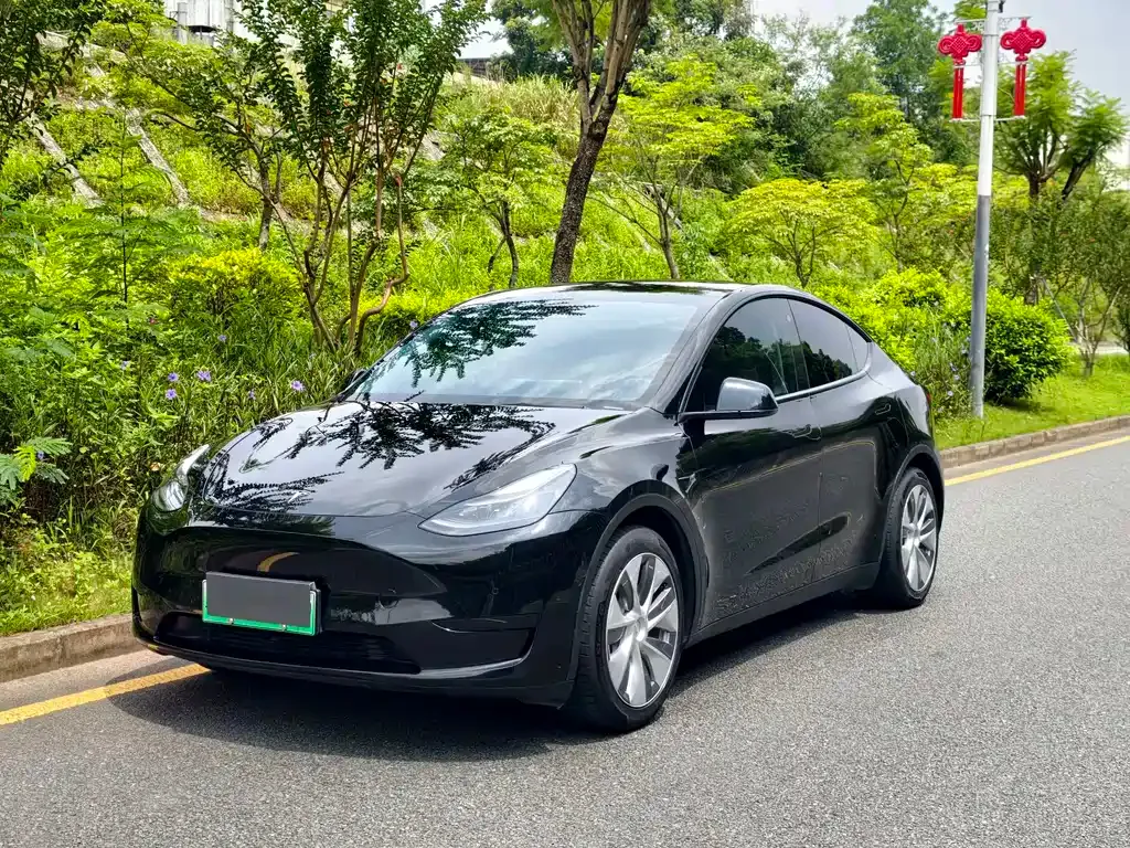 Tesla Model Y — фото 1