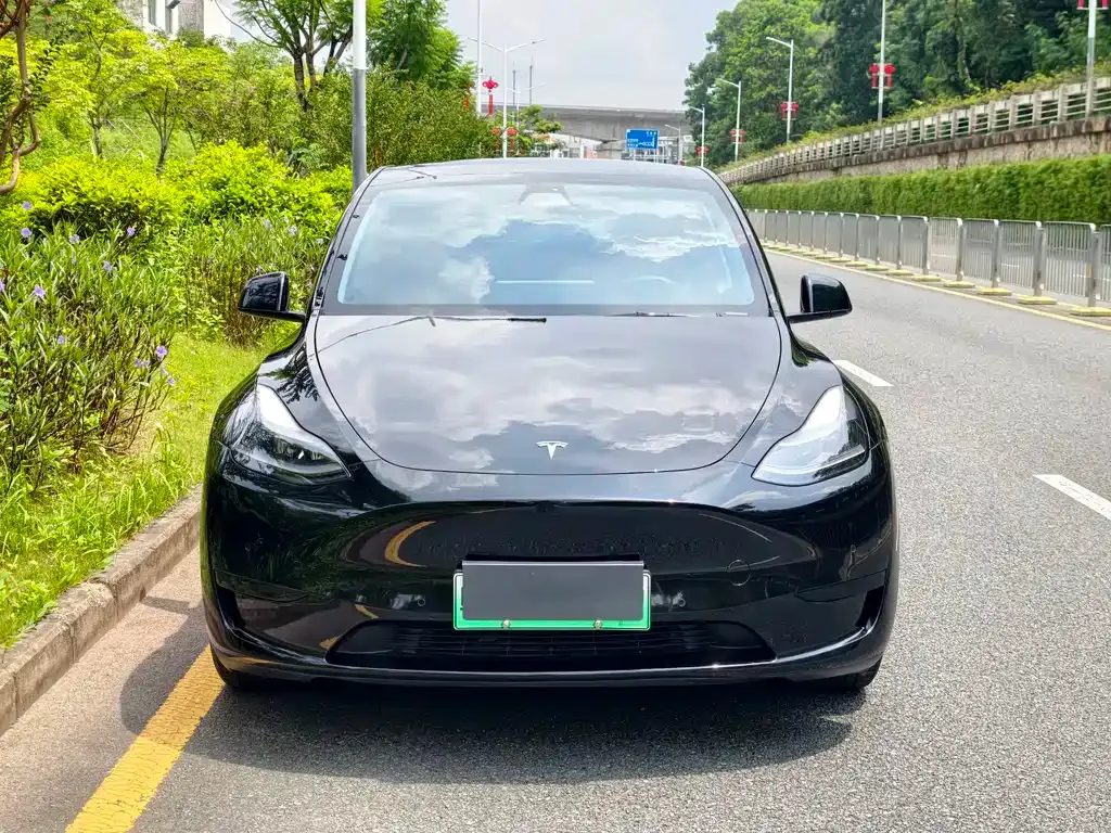 Tesla Model Y — фото 9