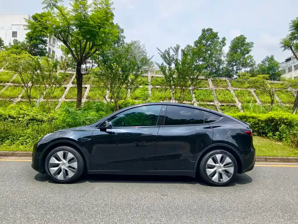 Tesla Model Y — фото 8