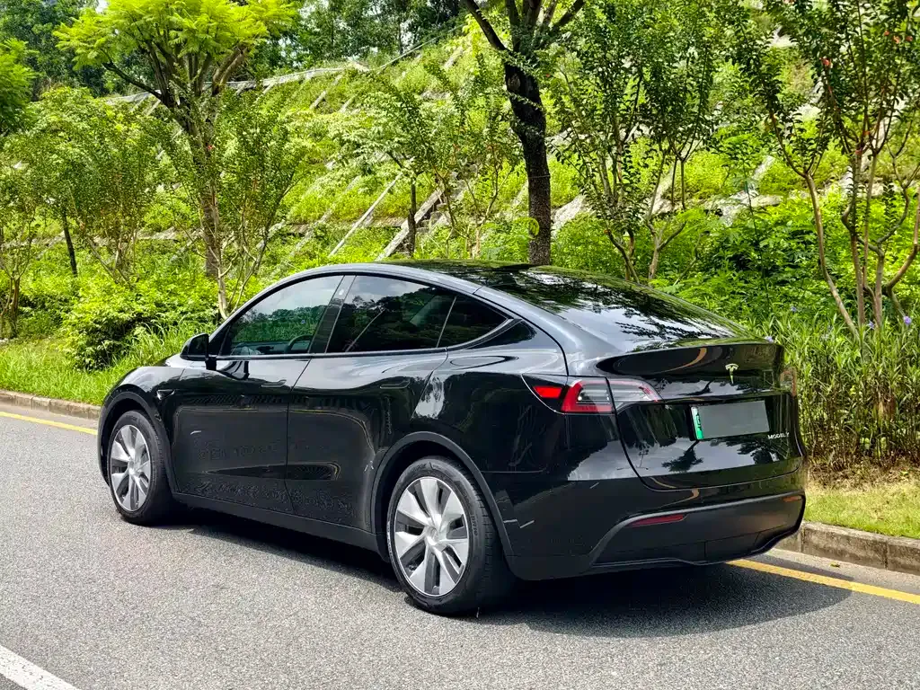 Tesla Model Y — фото 7