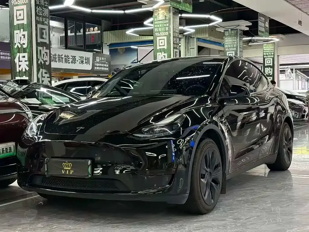 Tesla Model Y — фото 1