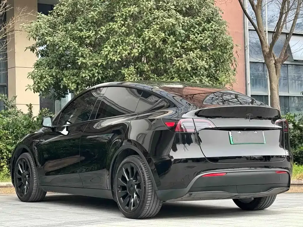 Tesla Model Y — фото 10