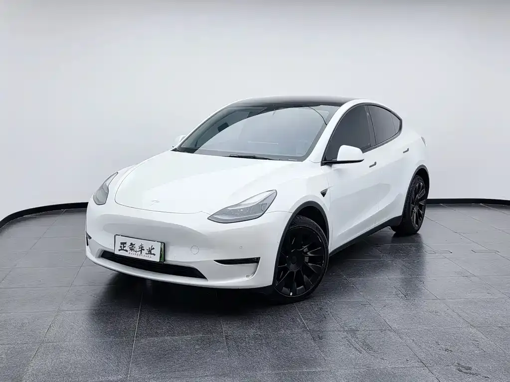 Tesla Model Y — фото 1