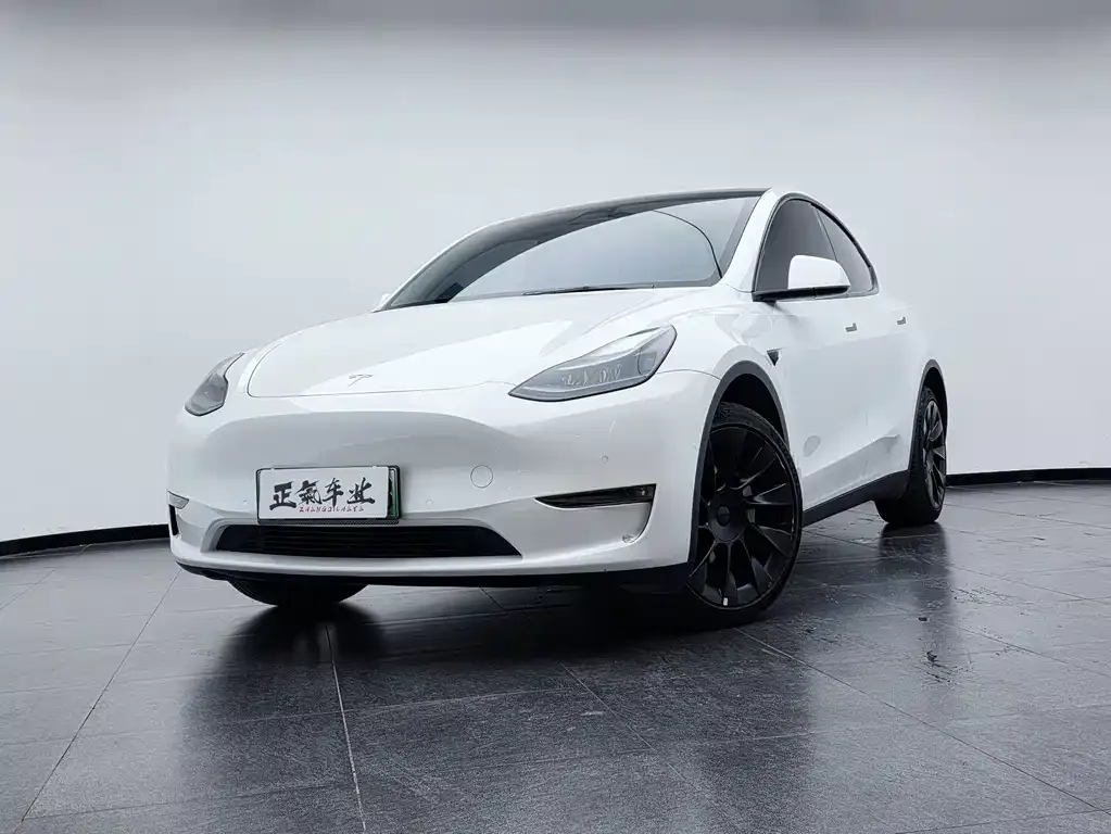 Tesla Model Y — фото 7
