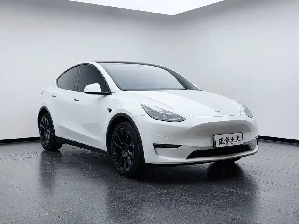 Tesla Model Y — фото 8