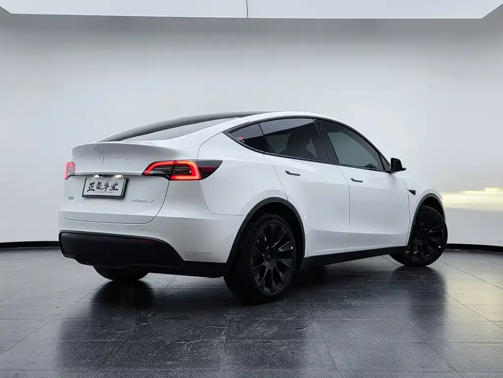 Tesla Model Y — фото 9