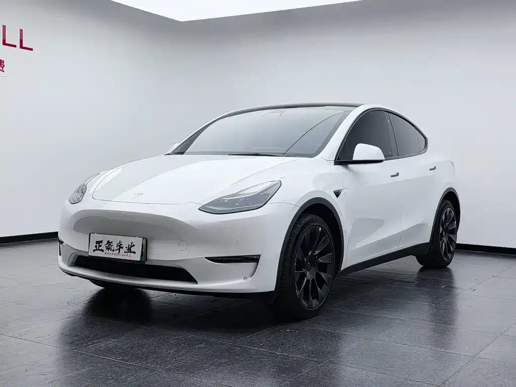 Tesla Model Y — фото 6