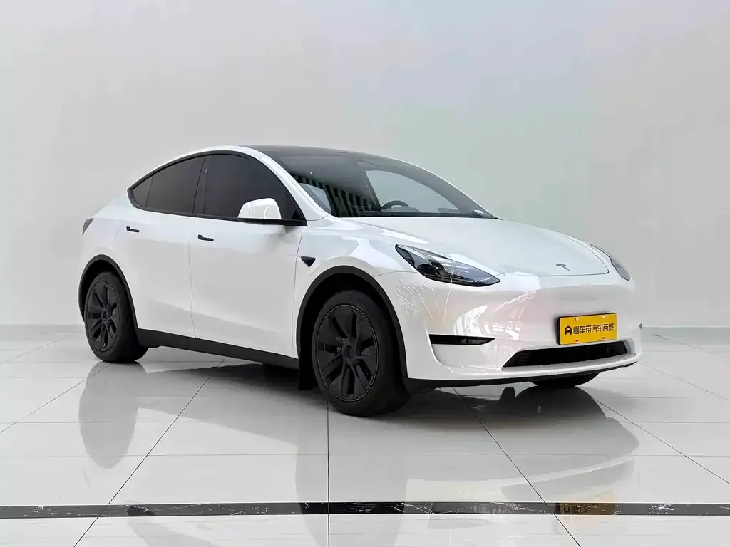 Tesla Model Y — фото 2