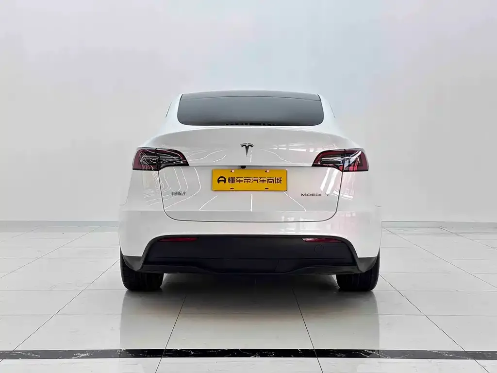 Tesla Model Y — фото 5
