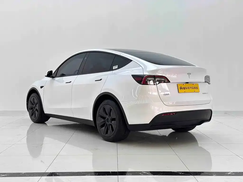 Tesla Model Y — фото 4