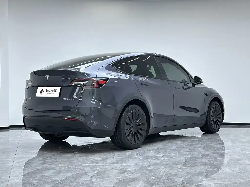 Tesla Model Y — фото 9