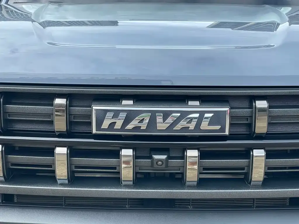 Haval Cool Dog — фото 2