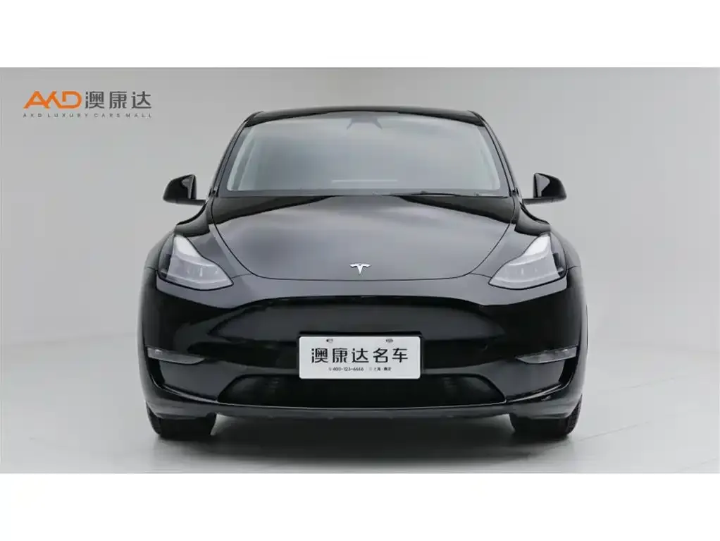 Tesla Model Y — фото 6