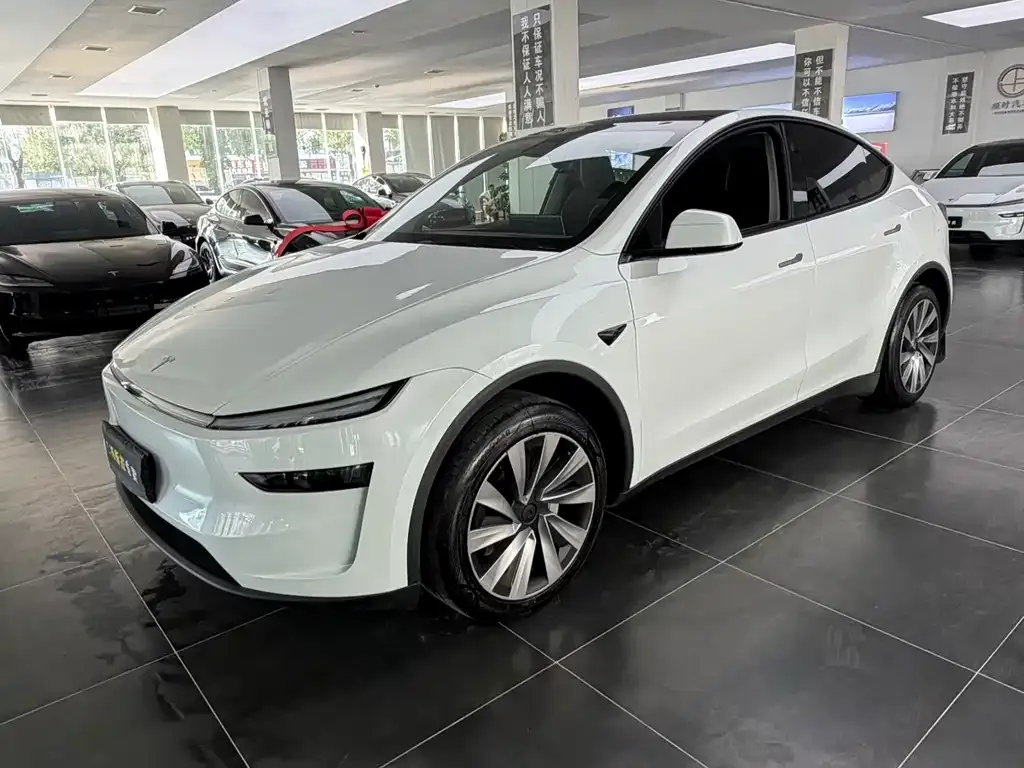 Tesla Model Y — фото 4